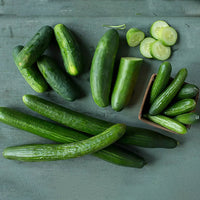 Thumbnail for Oddly English Cucumber