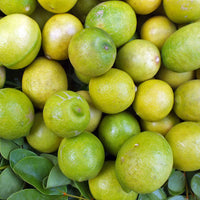 Thumbnail for Oddly Lemon