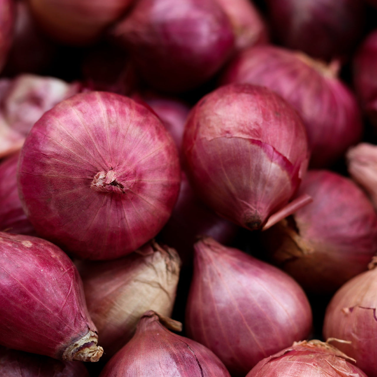 Oddly Onion
