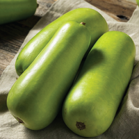 Thumbnail for Ash Gourd