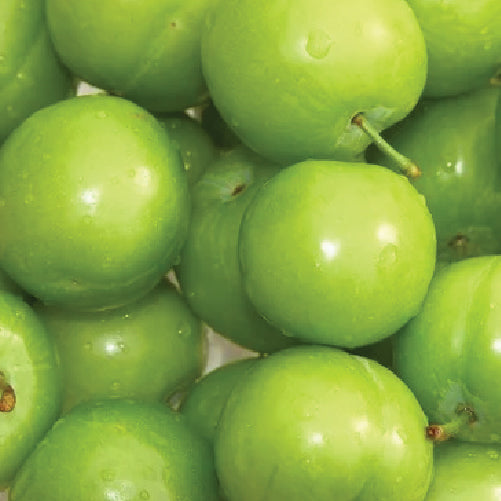 Green Grande Tomatoes