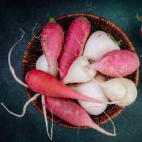 Thumbnail for Radish
